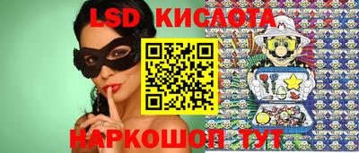 шишки Ставрополь