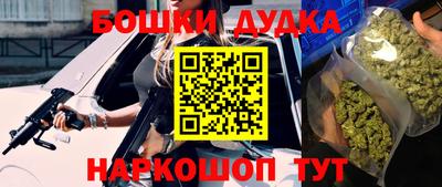 шишки Ставрополь