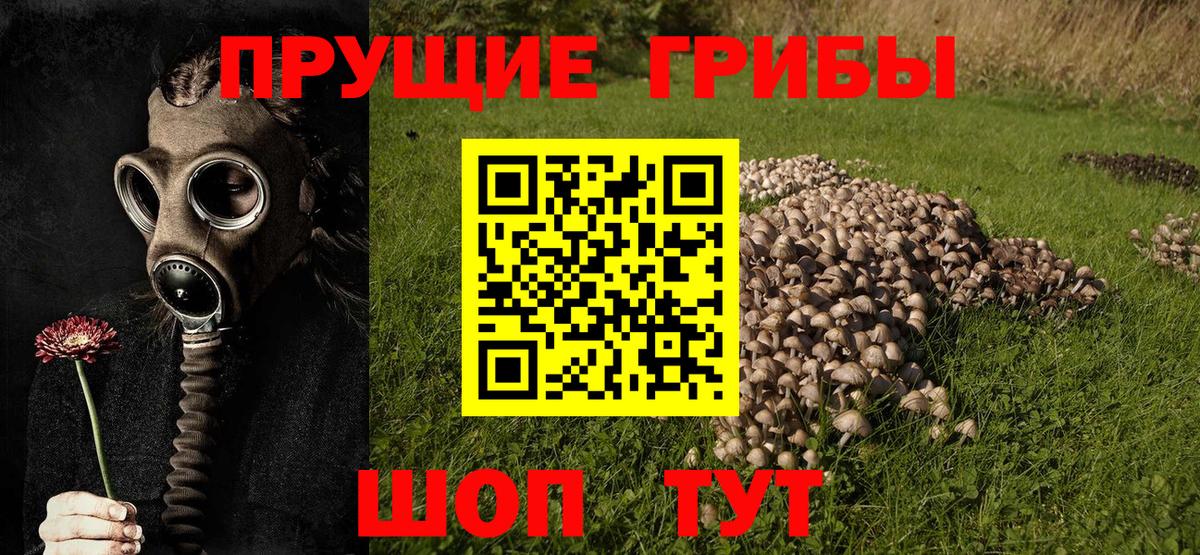 Вышний Волочёк  Галлюциногенные грибы Magic Shrooms  Вход с VPN 